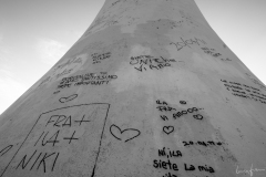 LFP_9219