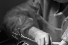 LFP_3932