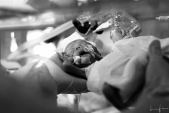 LFP_4001