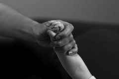 LFP_4048