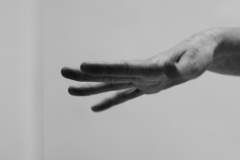 LFP_4172