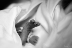 LFP_8274