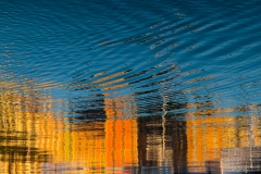 DSCF6619