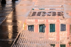 DSCF7737