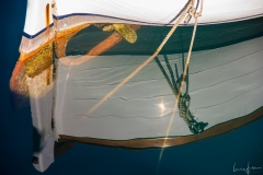 LFP_0468
