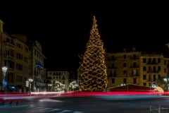 LFP_4076