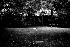 rest in Central Park